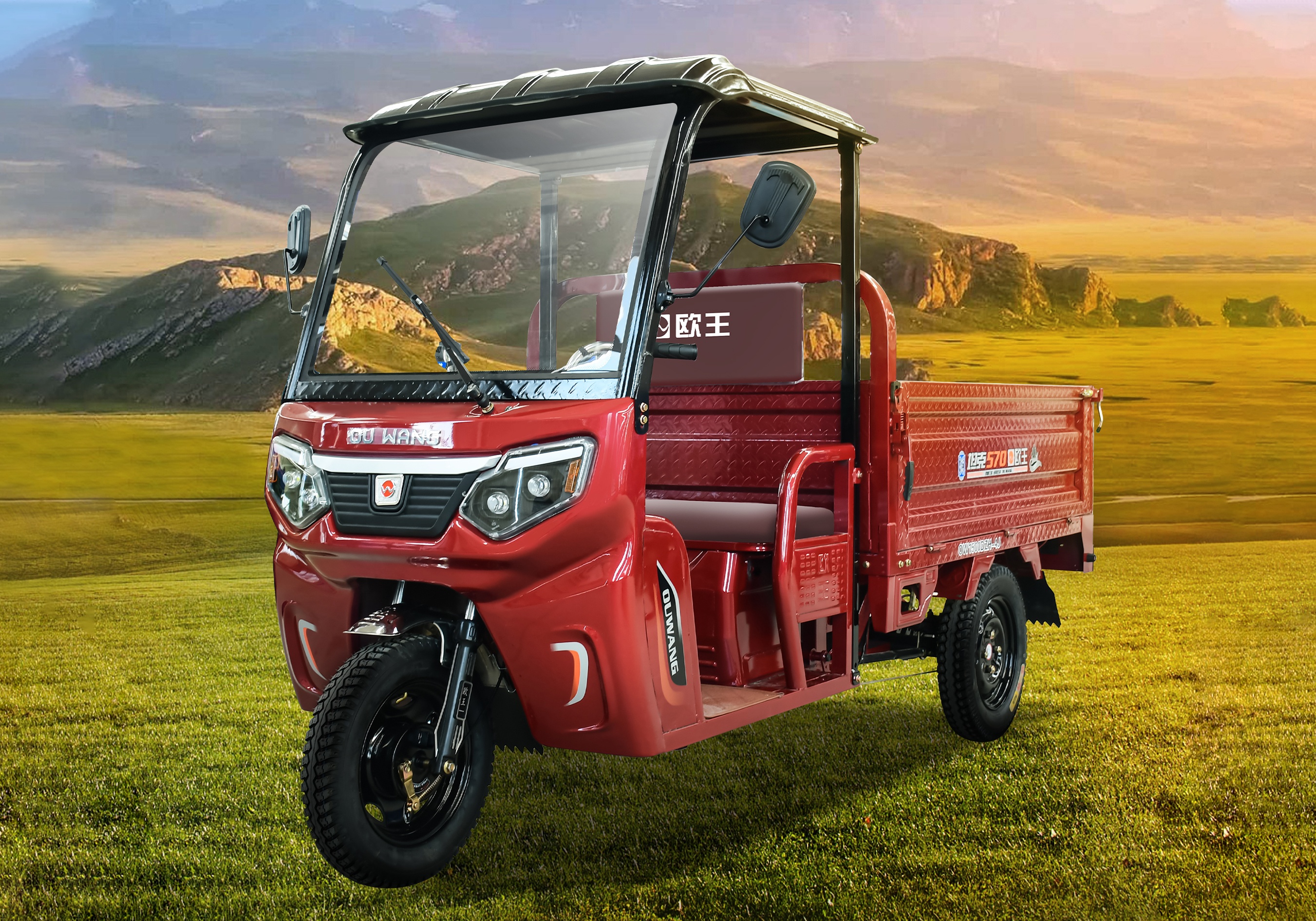 Tank Luxury Simple Canopy - Image 1